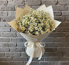 Букет цветов из:  Ромашки в Успенской