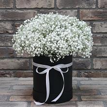 Цветочная композиция из Гипсофила в шляпной коробке #REPLACE_PRED# Успенской