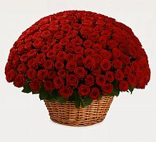 Премиум букет из: Розы #REPLACE_PRED# Успенской